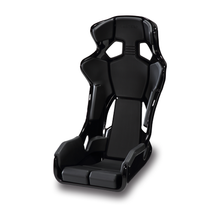 Load image into Gallery viewer, Recaro Pro Racer RMS
